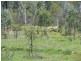 1676 Laglan Road, Clermont QLD 4721
