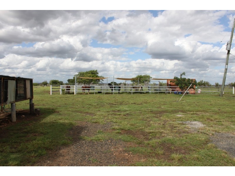 293 Spoonbill Road, Clermont QLD 4721