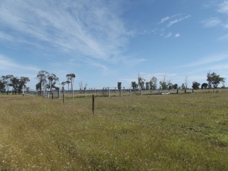 293 Spoonbill Road, Clermont QLD 4721