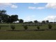 293 Spoonbill Road, Clermont QLD 4721