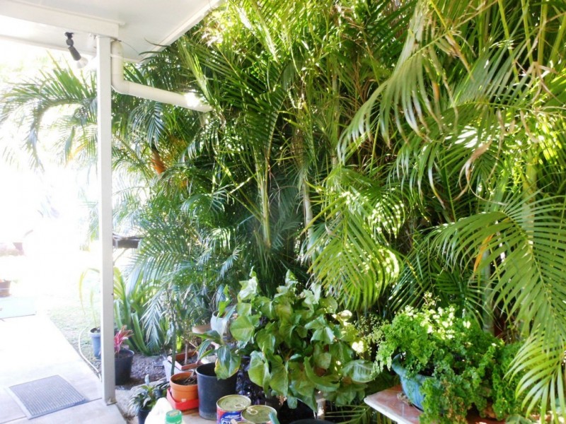 37 Beatty Street, Clermont QLD 4721