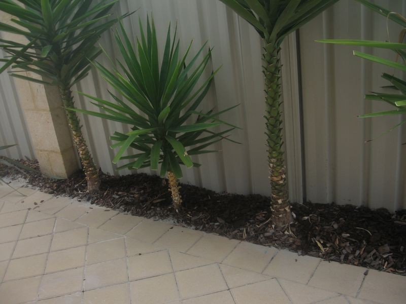 17 Masthead, Jindalee WA 6036