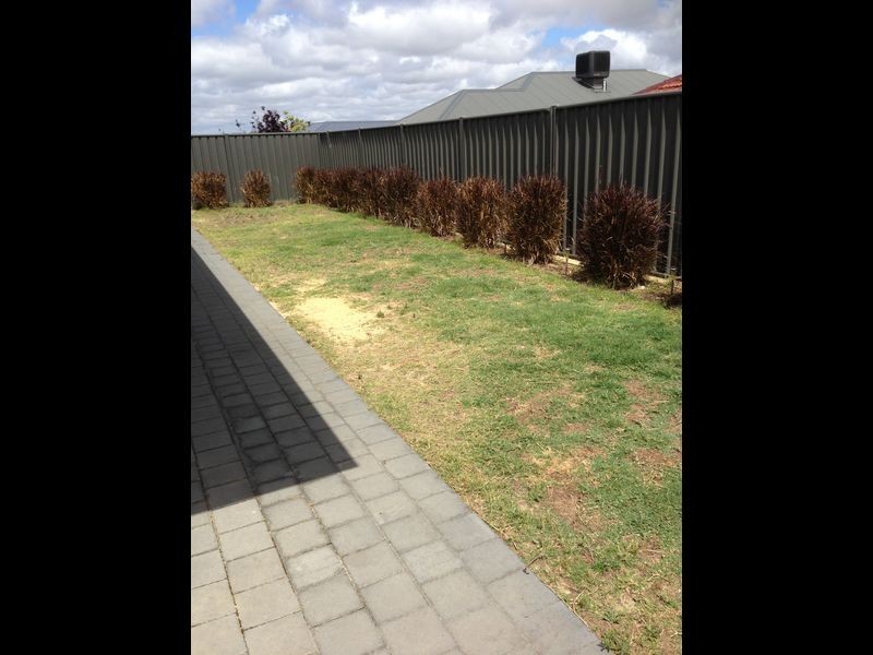 31 Montane Turn, Banksia Grove WA 6031