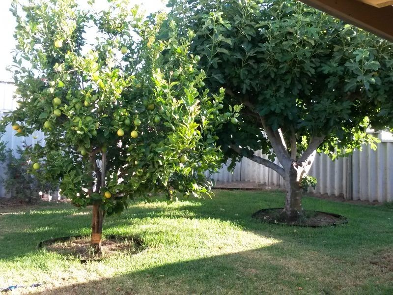 12/2 Badja Place, Merriwa WA 6030