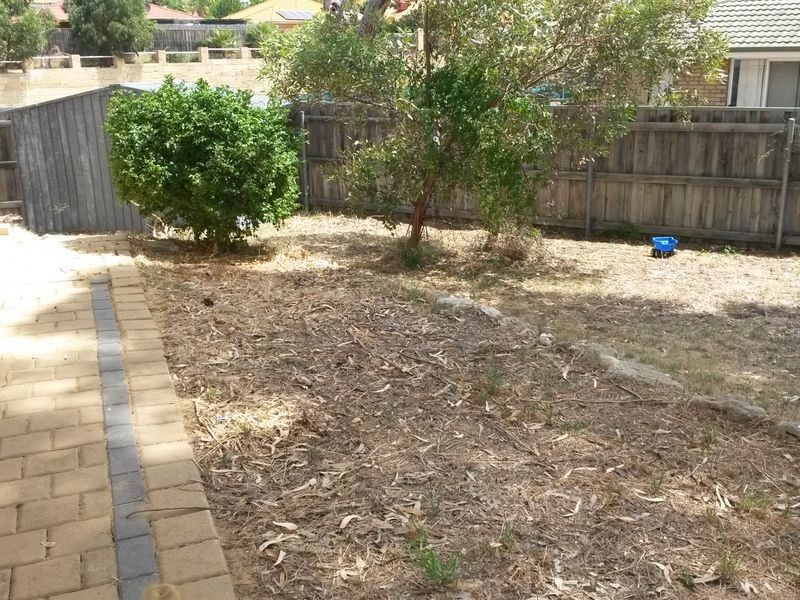 31 Keady Rise, Clarkson WA 6030