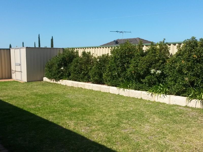 18 Lautrec Way, Ashby WA 6065