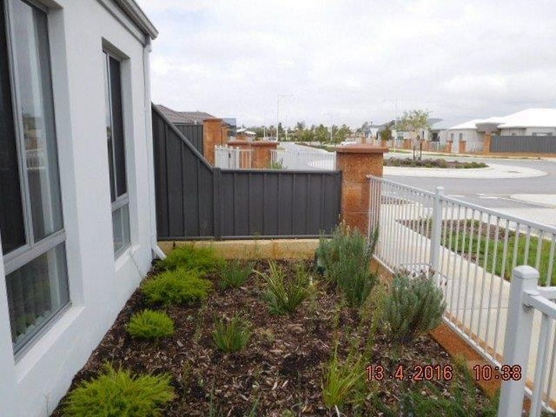4 Hybrid Green, Banksia Grove WA 6031