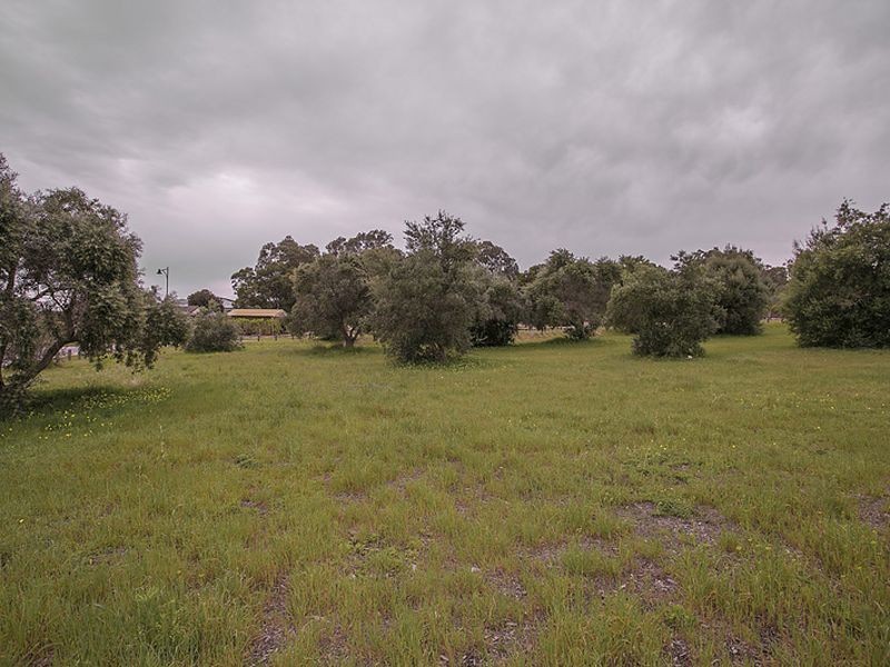 10 Francina View, Sinagra WA 6065