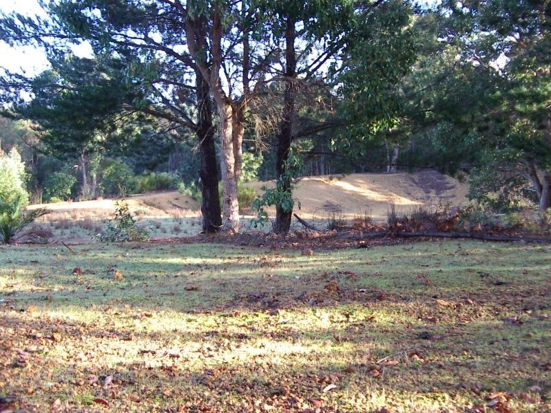 Lot 41 Hovea Place, Jalbarragup WA 6275