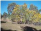 Lot 41 Hovea Place, Jalbarragup WA 6275