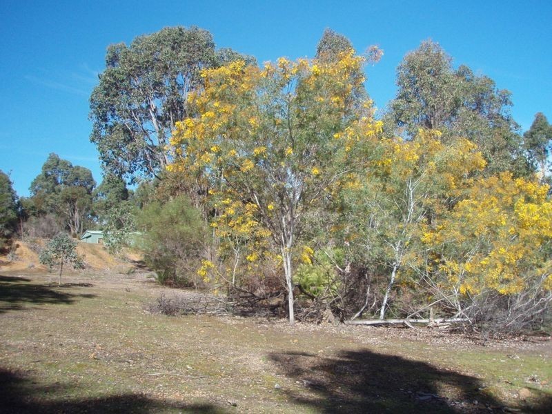 Lot 41 Hovea Place, Jalbarragup WA 6275