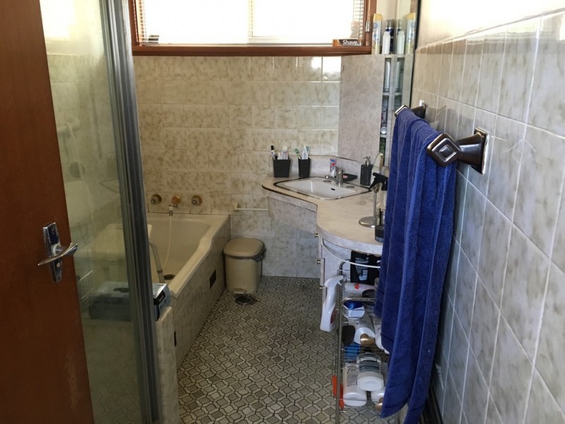 58 The Avenue, Canley Heights NSW 2166