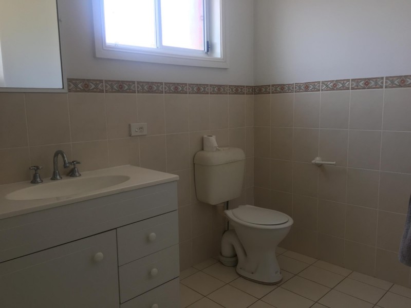 3 Saxon Place, Cecil Hills NSW 2171