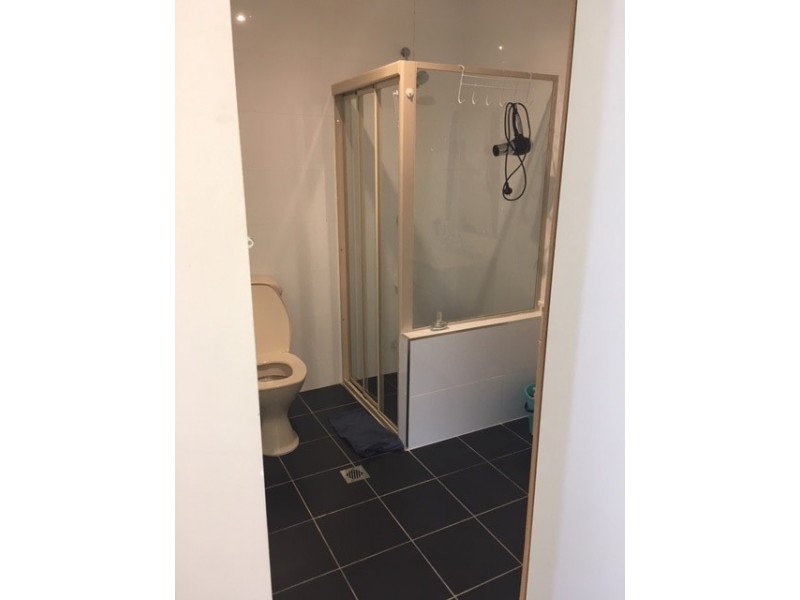 17A Gipps Road, Smithfield NSW 2164