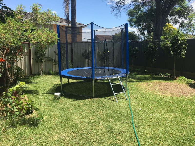 5 Avisford Street, Fairfield NSW 2165