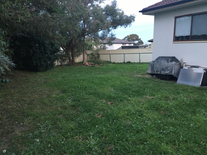 10 Maceri Place, Edensor Park NSW 2176