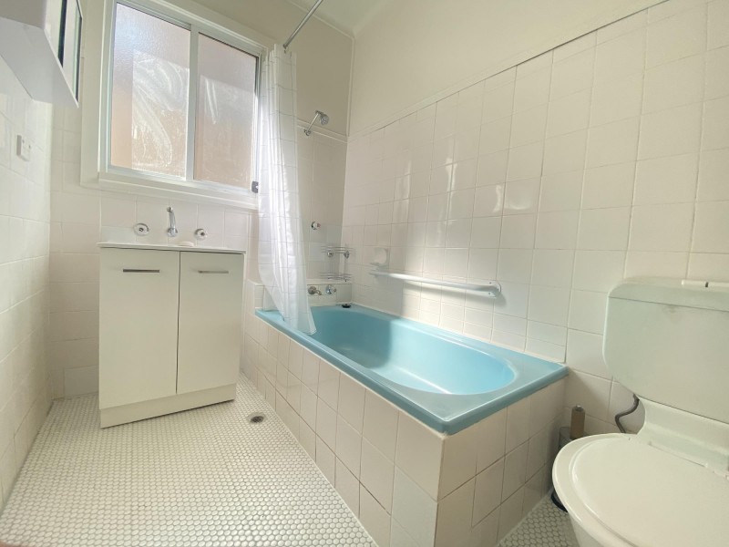 48 The Avenue, Canley Vale NSW 2166