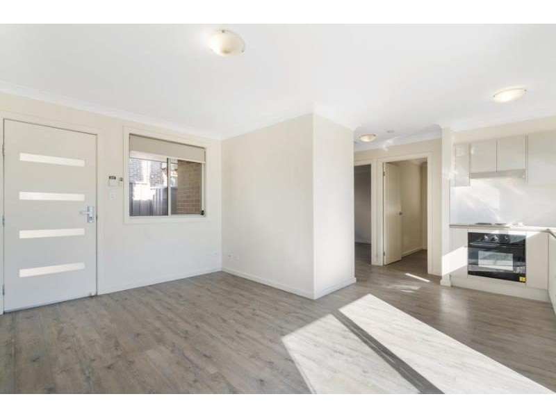 17B Anderson Avenue, Mount Pritchard NSW 2170