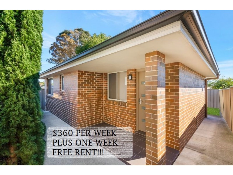 17B Anderson Avenue, Mount Pritchard NSW 2170