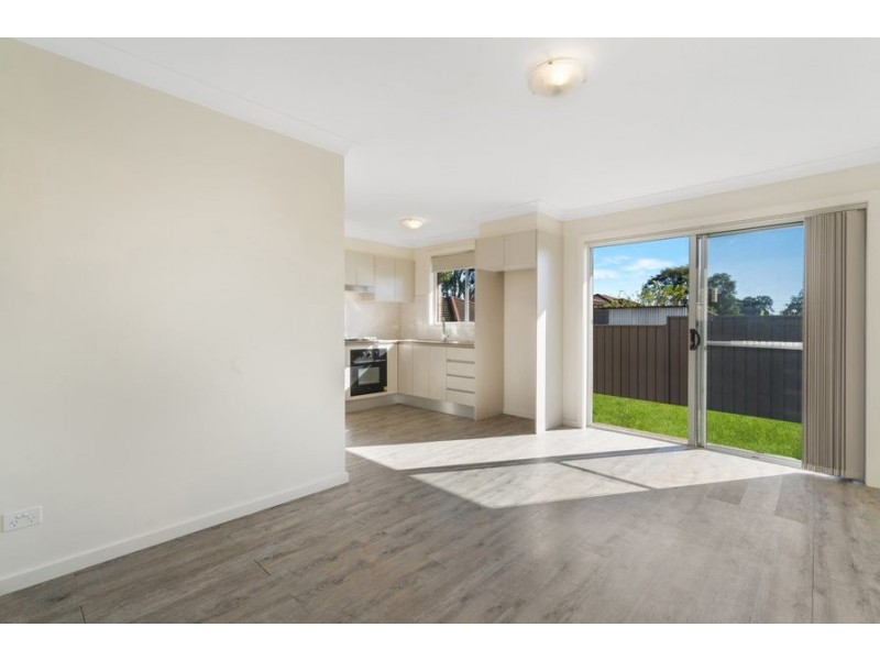 17B Anderson Avenue, Mount Pritchard NSW 2170