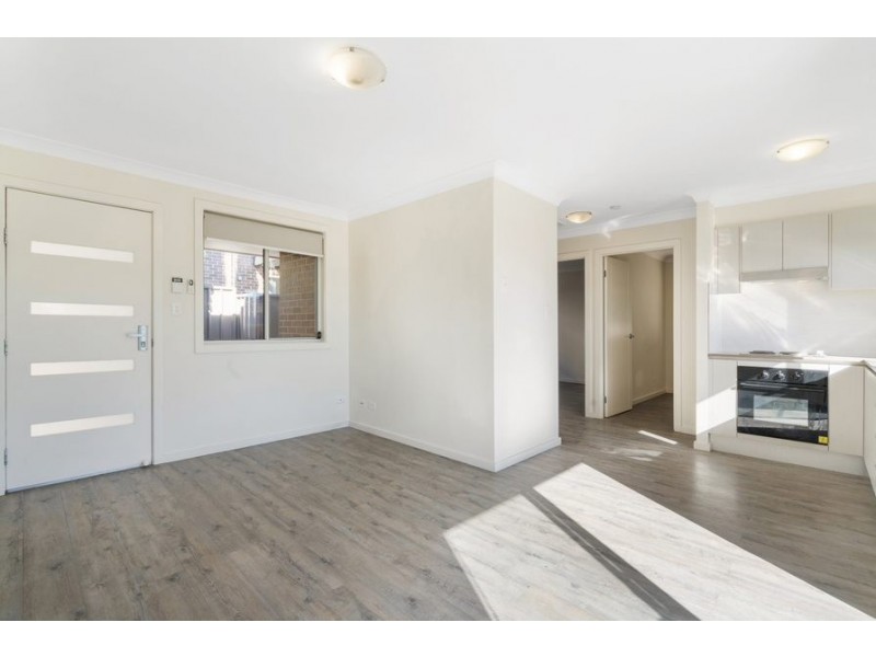 17B Anderson Avenue, Mount Pritchard NSW 2170