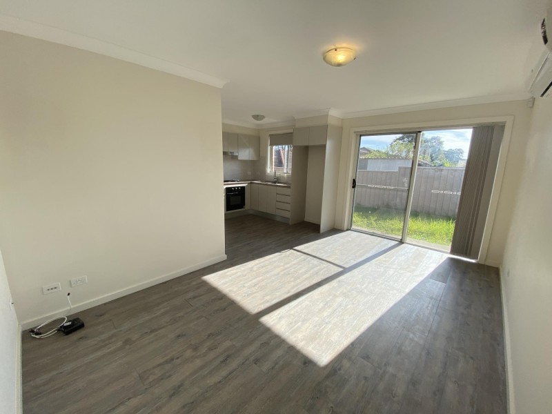 17B Anderson Avenue, Mount Pritchard NSW 2170