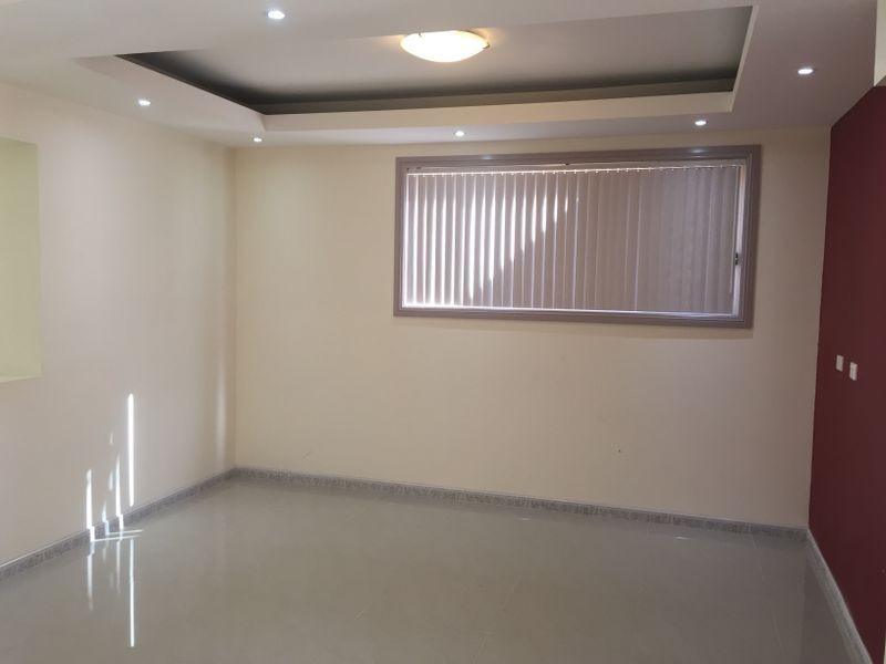 17 Salisbury Street, Canley Heights NSW 2166