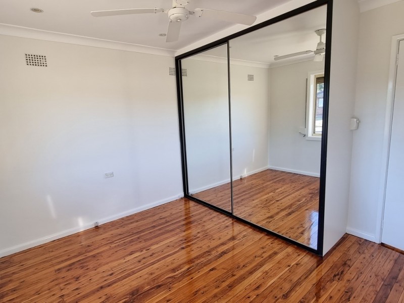 163 Maxwells Avenue, Ashcroft NSW 2168