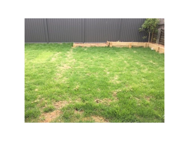 16a Tobruk Road, Narellan Vale NSW 2567