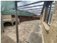 13 Jasnar Street, Greenfield Park NSW 2176