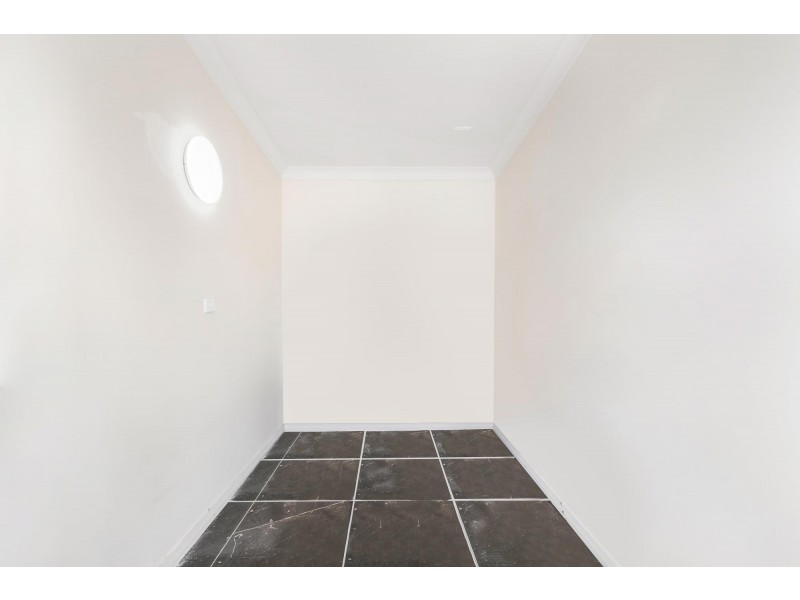 148 Carcoola Street, Canley Vale NSW 2166