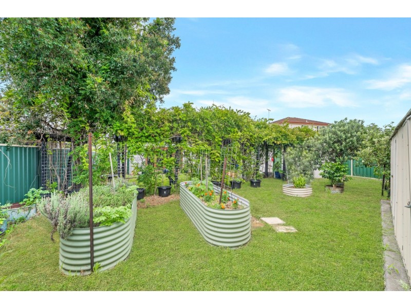 209 Graham Avenue, Lurnea NSW 2170