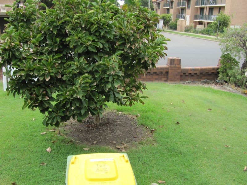 86 Marsden Street, Parramatta NSW 2150