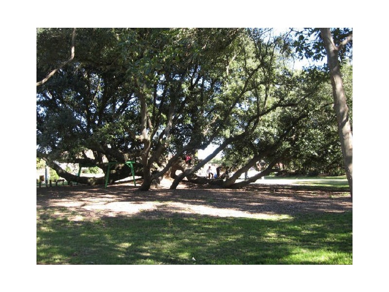 29 Bland Street, Carramar NSW 2163