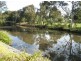 65 Waterside Crescent, Carramar NSW 2163