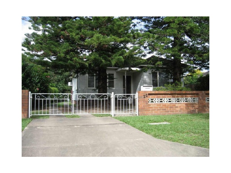 22 Bonham Street, Canley Vale NSW 2166