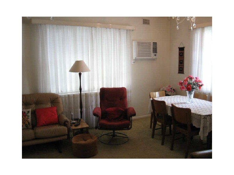 22 Bonham Street, Canley Vale NSW 2166