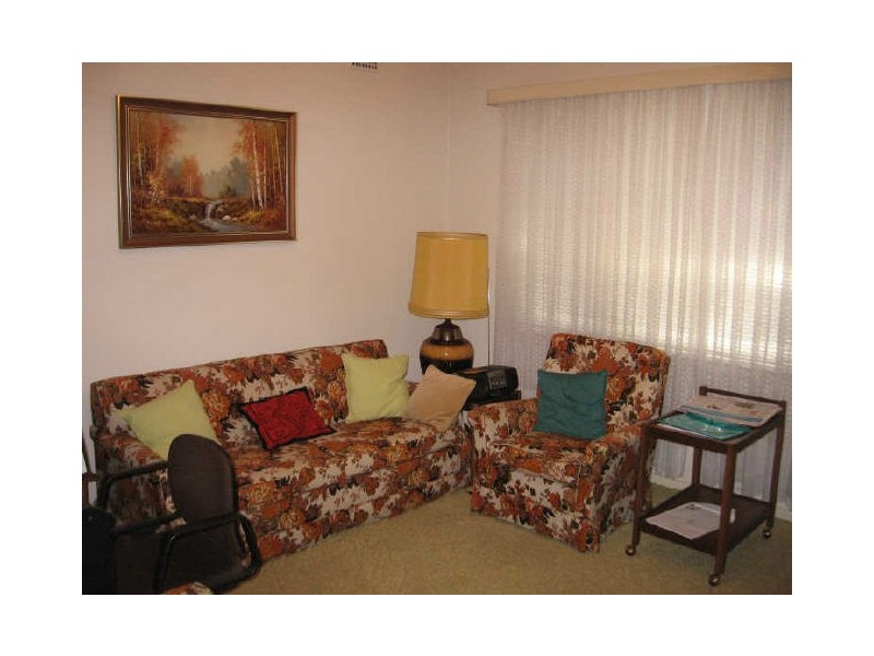 22 Bonham Street, Canley Vale NSW 2166