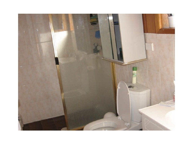 4 Parklea Parade, Canley Heights NSW 2166