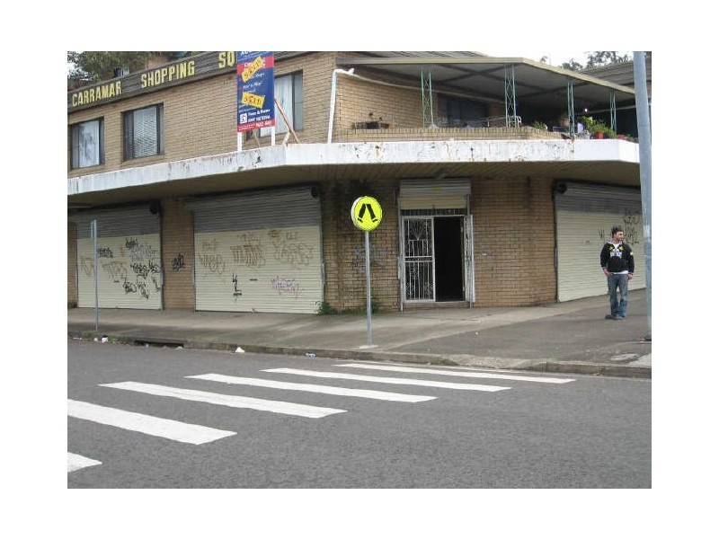 197 Sandal Crescent, Carramar NSW 2163