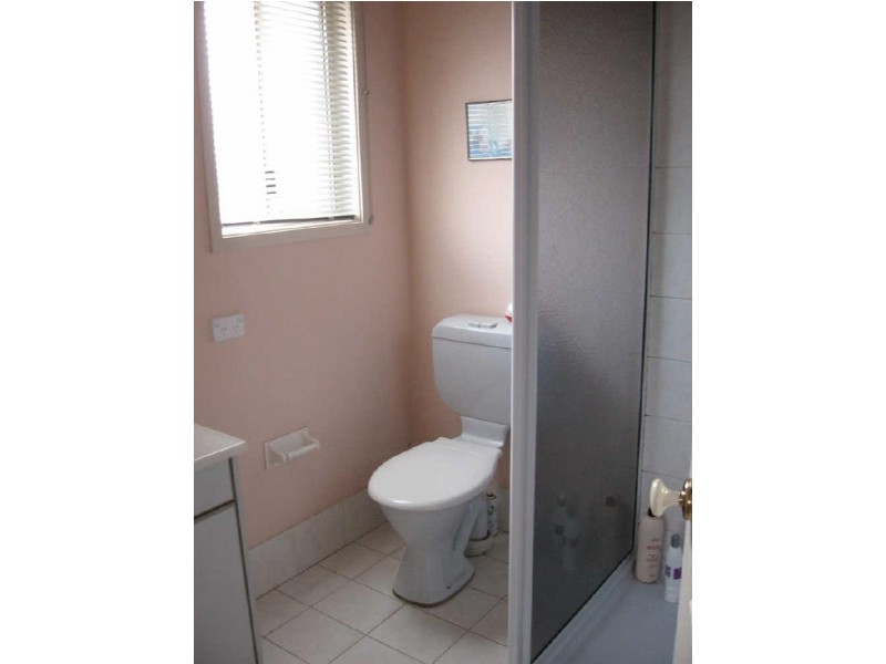 23 Tenella Street, Canley Heights NSW 2166