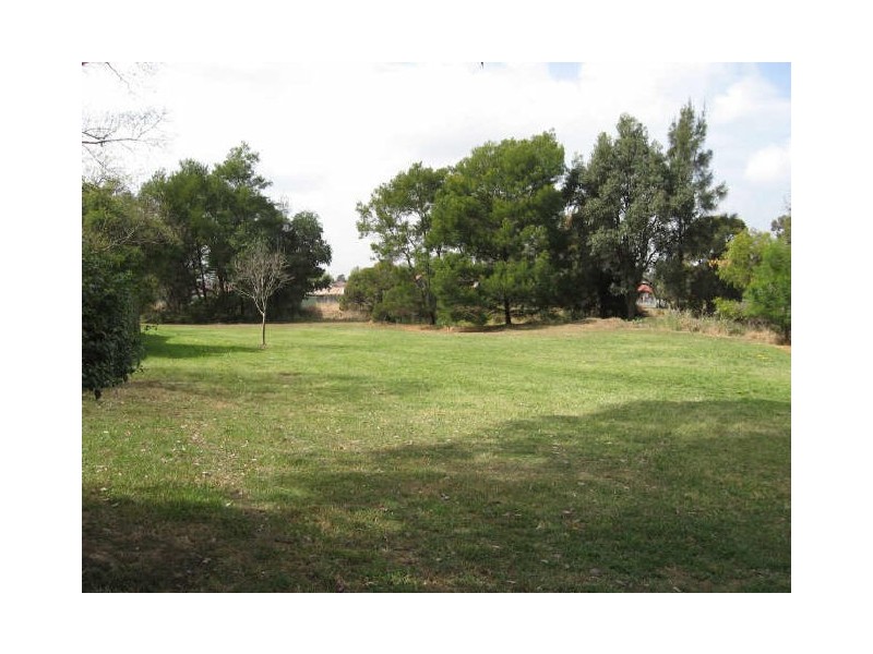 23 Tenella Street, Canley Heights NSW 2166