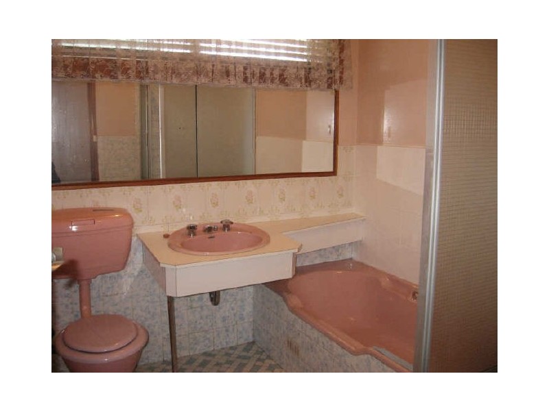 60 The Avenue, Canley Vale NSW 2166