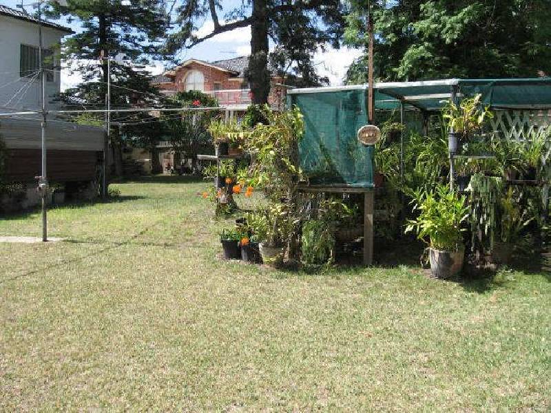 31 Harold Street, Fairfield NSW 2165