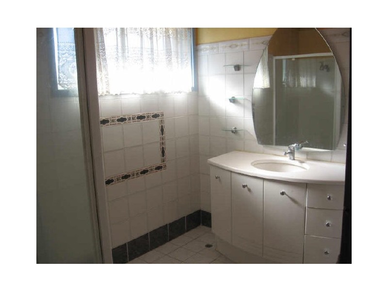 46 The Avenue, Canley Vale NSW 2166