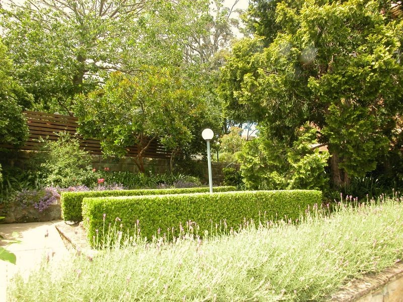 1/254 Pacific Highway, Lindfield NSW 2070