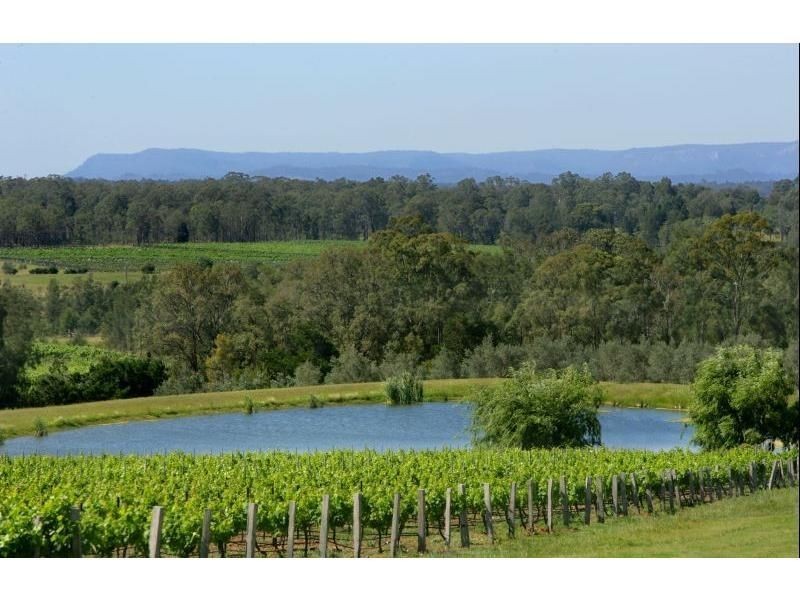 162 Wilderness Road, Rothbury NSW 2320