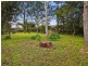 38 Cook Road, Killara NSW 2071