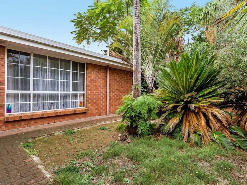25 Rosemary Avenue, Parafield Gardens SA 5107