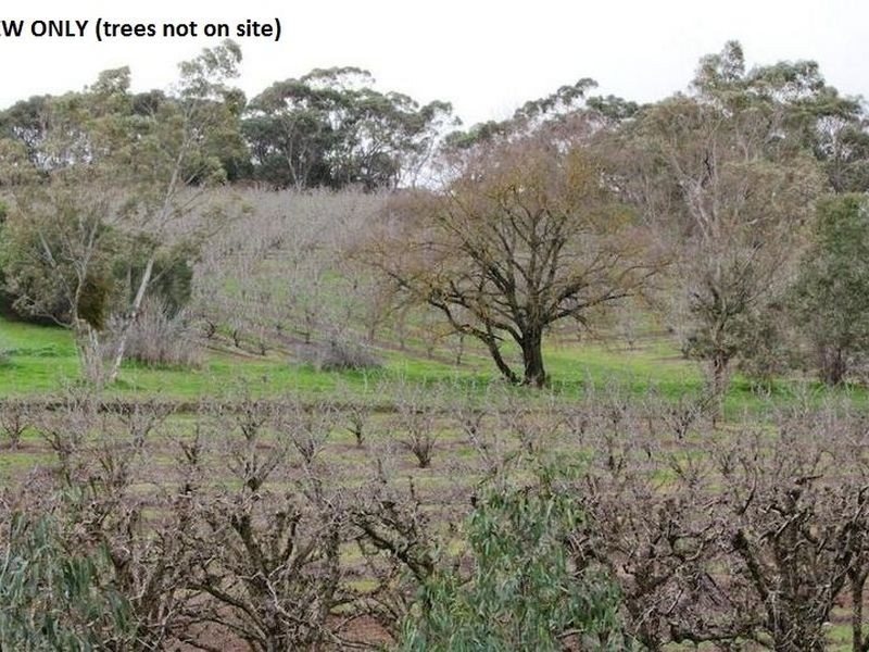 2016 North East Road, Paracombe SA 5132